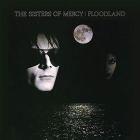 Floodland (Vinile)