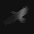 Odins raven magic