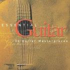 Essential guitar