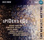 Spider's egg