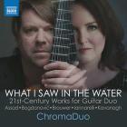 What i saw in the water 21st-century woorks for guitar duo