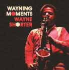 Wayning moments (12'') (Vinile)