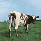 Atom heart mother