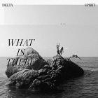 What is there