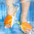 Sharks (Vinile)
