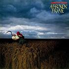 A broken frame (Vinile)