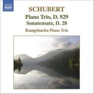 Trio n.2 d 929 op.100, sonatensatz