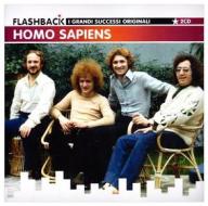Homo sapiens new artwork 2009
