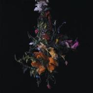 Nature morte (lavender vinyl) (Vinile)