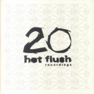 20 hotflush recordings (Vinile)