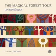 The magical forest tour