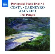 Trio op.15 - portuguese piano trios vol.