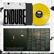 Endure (indie exclusive) (Vinile)