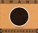 Swans are dead