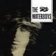 The waterboys