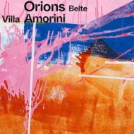 Villa amorini (Vinile)