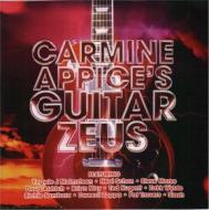 Carmine appice's guitar zeus