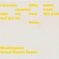 Veiled sisters remix
