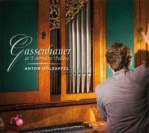Gassenhauer: salon organ at esterh zy pa