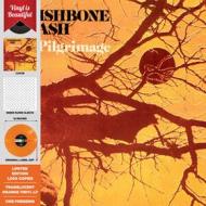 Pilgrimage - vinyl orange translucent (Vinile)