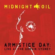 Armistice day: live at the domain, sydney (red) (Vinile)