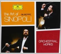 Box-the art of sinopoli orchestra
