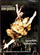 Don quixote