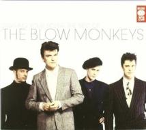 Digging your scene: the best of the blow monkeys
