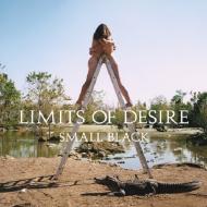 Limits of desire (Vinile)