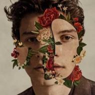 Shawn Mendes Deluxe Box Fan Edition