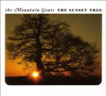 The sunset tree