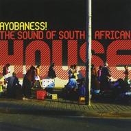 Ayobaness!the sound of south africa