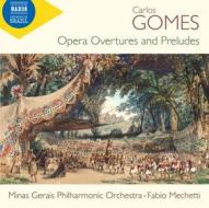 Opera overtures and preludes