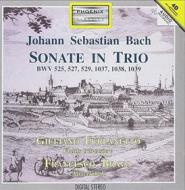 Bach. sonate in trio (ph 99514)