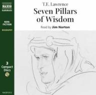 I sette pilastri della saggezza