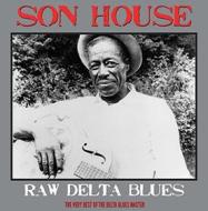 Raw delta blues