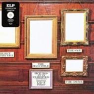 Pictures at an exhibition (Vinile)