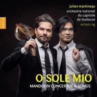 O sole mio (mandolin concertos and songs)