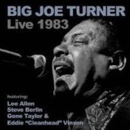 Big joe turner live 1983