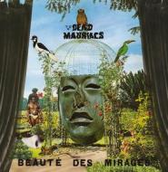 Beaute des mirages (Vinile)