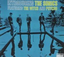 Introducing the sonics: expanded edition (Vinile)
