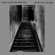 At the top of the stairs (Vinile)