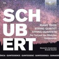 Piano trios, string quintet, string quartets - ''quintessence''