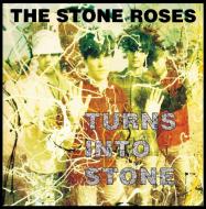 Turns into stone (limited edt.) (Vinile)