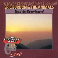 Yes i have been experienced (Vinile)