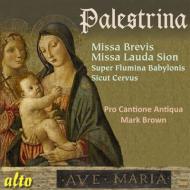 Missa brevis (1570)