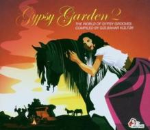 Gypsy garden 2