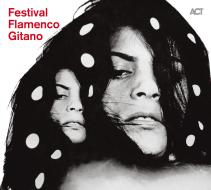 Festival flamenco gitano + da capo
