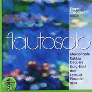 Flautosolo