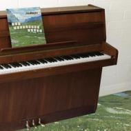 The sophtware slump on a wooden piano [l (Vinile)